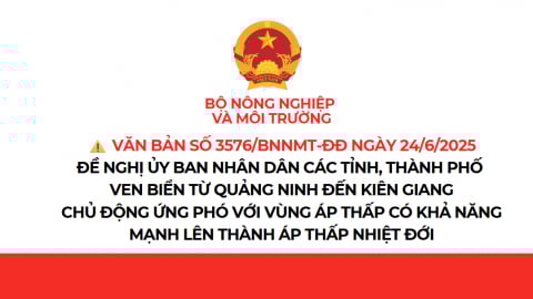 Chủ động ứng phó với vùng áp thấp có khả năng mạnh lên thành áp thấp nhiệt đới