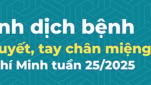TP. Hồ Chí Minh: Ghi nhận 507 trường hợp mắc bệnh sốt xuất huyết trong tuần 25