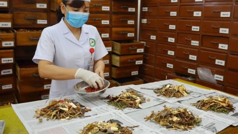 Vị thuốc cổ truyền phải công bố tiêu chuẩn chất lượng trước khi lưu hành
