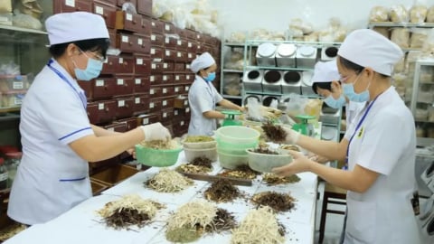 Tăng cường giám sát kinh doanh nguyên liệu làm thuốc: Siết chặt quản lý, bảo đảm chất lượng dược phẩm