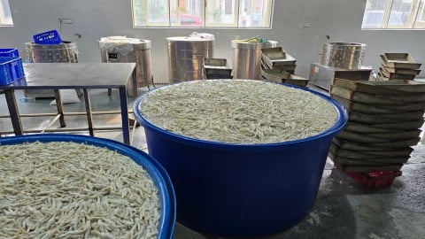 Thanh Hóa: Phát hiện và tạm giữ hơn 13 tấn chân gà ngâm hóa chất