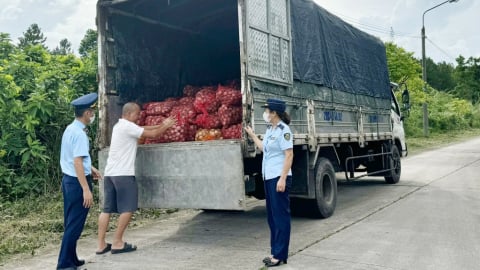 Quảng Ninh: Tăng cường kiểm soát, xử lý hàng thủy sản nhập lậu
