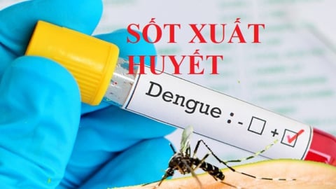 Thủ tướng yêu cầu tăng cường phòng, chống bệnh sốt xuất huyết