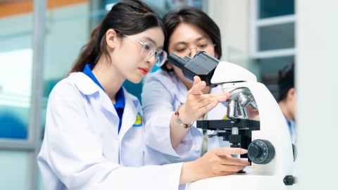Bộ GD-ĐT chính thức công bố điểm sàn nhóm ngành sức khỏe năm 2025