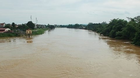 Thanh Hóa phát lệnh báo động lũ, yêu cầu hộ đê khẩn cấp