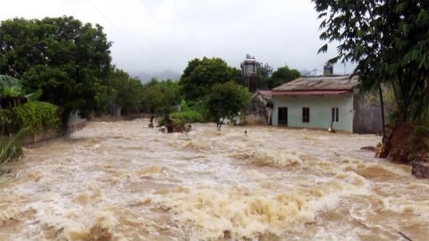Tập trung ứng phó khẩn cấp với mưa lũ trên lưu vực sông Cả