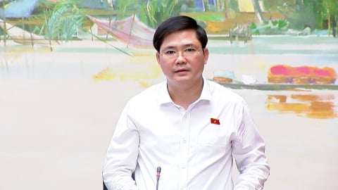 ĐBQH Nguyễn Tuấn Anh: Hoàn thiện hệ thống chỉ tiêu môi trường là yêu cầu cấp bách