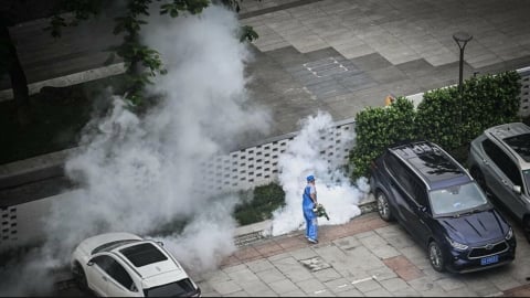 Bộ Y tế yêu cầu giám sát dịch bệnh Chikungunya ngay tại cửa khẩu