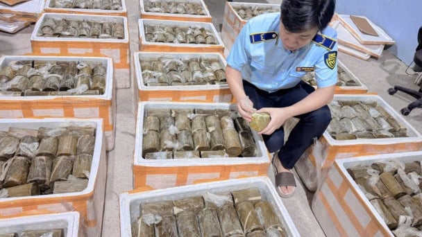 Phú Yên: Phát hiện, tiêu hủy 1 tấn chả chay không rõ nguồn gốc, xuất xứ.