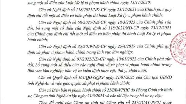 Nghệ An: Xử phạt một cá nhân hơn 262 triệu đồng vì mua, tàng trữ xương, móng vuốt động vật hoang dã quý hiếm
