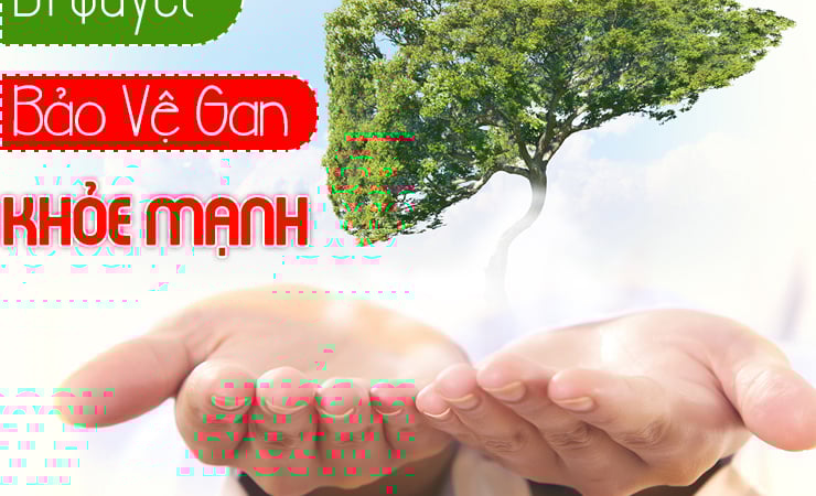Lối Sống Hiện Đại Đang Âm Thầm Tàn Phá Lá Gan Của Chúng Ta