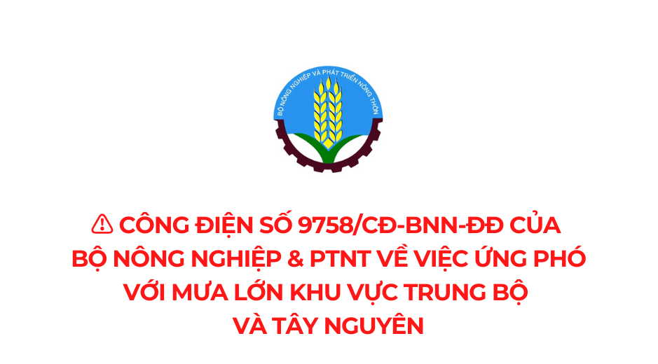 Chủ động ứng phó với mưa lớn khu vực Trung Bộ và Tây Nguyên