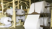 Hà Giang xử phạt gần 500 triệu đồng công ty sản xuất giấy xả thải ra môi trường