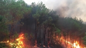 Nghệ An tăng cường các biện pháp phòng cháy chữa cháy rừng trên địa bàn tỉnh năm 2024
