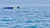 Quảng Ngãi: Chìm tàu kéo sà lan khiến 3 người tử vong