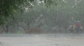 Dự báo thời tiết ngày 24/4: Bắc Bộ, Thanh Hóa và Nghệ An có mưa to