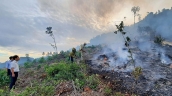 Thừa Thiên Huế tăng cường các biện pháp cấp bách phòng cháy, chữa cháy rừng