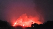 Bình Dương: Vụ cháy rừng phòng hộ Núi Cậu không thiệt hại về người và phương tiện