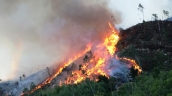 Quảng Bình tăng cường thực hiện các biện pháp cấp bách phòng cháy, chữa cháy rừng