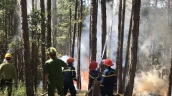 Lâm Đồng tăng cường công tác phòng cháy, chữa cháy và cứu nạn, cứu hộ