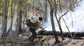 Lâm Đồng tăng cường triển khai các biện pháp cấp bách phòng cháy, chữa cháy rừng