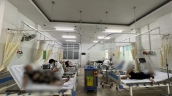 TP. Hồ Chí Minh: Sức khỏe của 15 học sinh nhập viện nghi do ngộ độc thực phẩm đều đã cải thiện