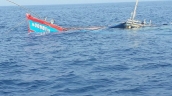 Quảng Bình: 4 tàu cá gặp nạn trên biển, 1 người tử vong, 11 thuyền viên đang mất tích