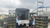 Quảng Ninh phát hiện xe vận chuyển 15.100 con vịt giống không rõ nguồn gốc, xuất xứ