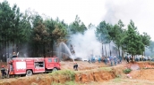 Bắc Ninh chỉ đạo tăng cường công tác phòng cháy, chữa cháy rừng