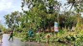 Cà Mau chủ động phòng ngừa, ứng phó sự cố môi trường trong mùa mưa