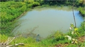 Đắk Nông: Hai cháu bé tử vong do đuối nước