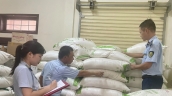 Quảng Trị triển khai đồng bộ nhiều giải pháp, xác định công tác chống buôn lậu đường cát