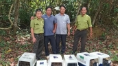 Đồng Nai: Thả 13 cá thể động vật hoang dã về với rừng Mã Đà