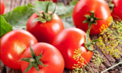 Cách giảm mỡ bụng bằng cà chua