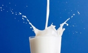 Đau dạ dày có được uống sữa tươi không