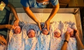 5 em bé chào đời khi vừa bước sang năm 2018