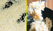 Cách phân biệt gạo thật và gạo giả Trung Quốc