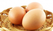 Thành phần dinh dưỡng của trứng gà