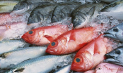 Cách phân biệt cá tươi sạch và cá ướp hóa chất