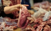 Ăn thịt lợn chết có sao không?