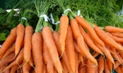 Thành phần dinh dưỡng của cà rốt