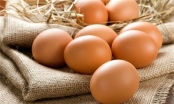 Chữa yếu sinh lý bằng trứng gà có tốt không?