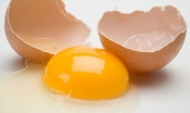 Những phát hiện mới về lòng đỏ trứng