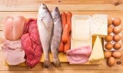 Thịt, cá, trứng, sữa, làm thế nào để chọn được nguồn protein lành mạnh?