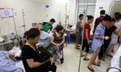 Hà Nội đã có hơn 950 người mắc sốt xuất huyết