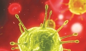 Virút viêm gan C nguy hiểm như thế nào?