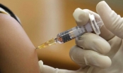 Vắc xin đại được Việt Nam nhập với số lượng lớn kỷ lục