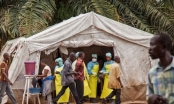 Bộ Y tế họp khẩn: Đề xuất các hoạt động phòng chống dịch bệnh Ebola
