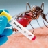 Hải Phòng: Tăng cường phòng, chống bệnh sốt xuất huyết Dengue