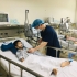 Hà Nội: Ghi nhận ca viêm não Nhật Bản đầu tiên trong năm 2024